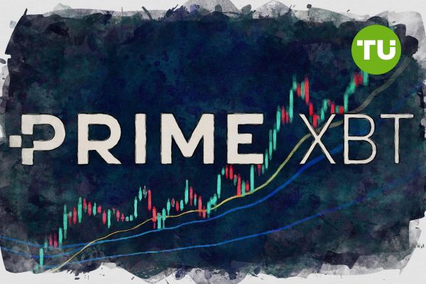 PrimeXBT vs Pocket Option Which Trading Platform and Features Suit You Best