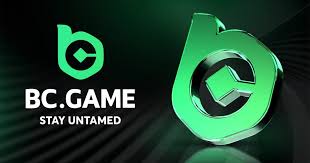 Comprehensive Guide to BC.Game KZ Registration Process